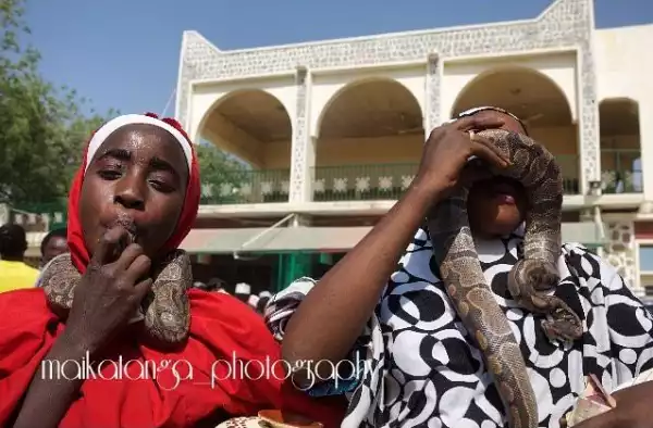 Photo: Young woman playing with snake at the wedding fatiha of Emir of Kano
